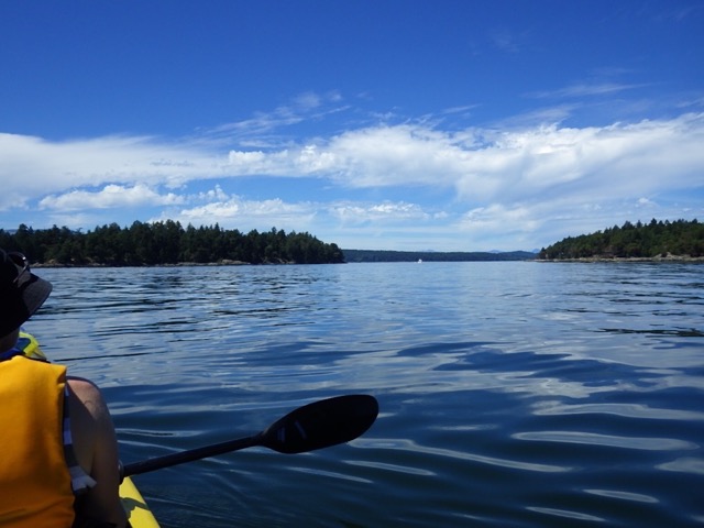 Dr. Gerry Vaughan kayaking by Dodds Narrows