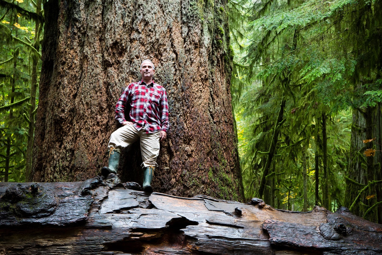 Cathedral Grove Park