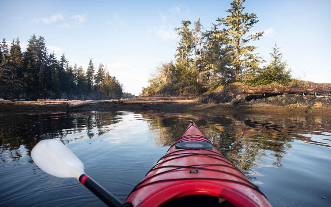 island-docs-live-and-work-on-beautiful-vancouver-island